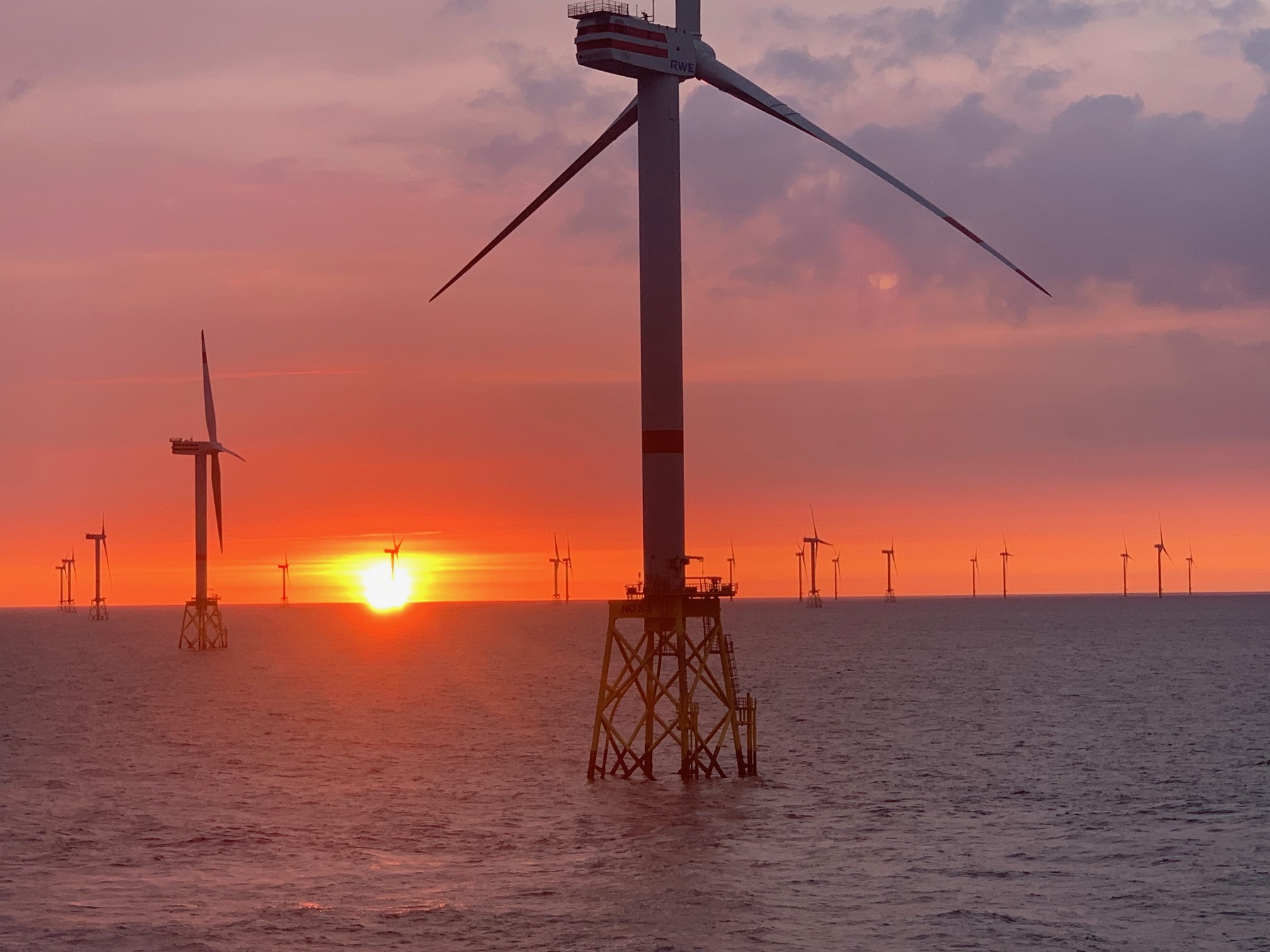 Morgengry på Nord See Ost OWF.jpeg